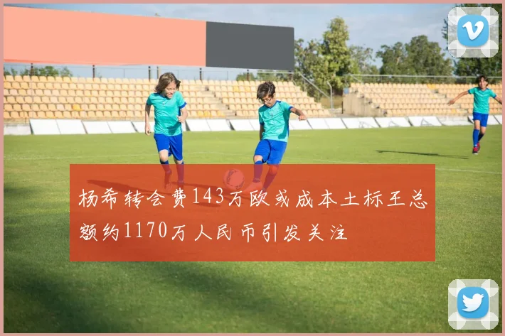 杨希转会费143万欧或成本土标王总额约1170万人民币引发关注
